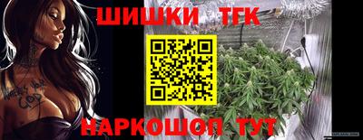 гашик Гусев