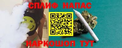 гашик Гусев